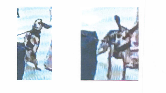 image001.png 