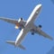 Smoke, flames shot out of American Airlines engine before emergency landing in Las Vegas