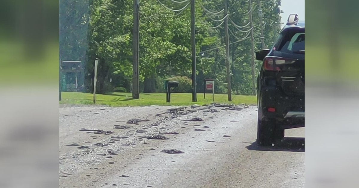 Roads in Lawrence County damaged during heat wave 