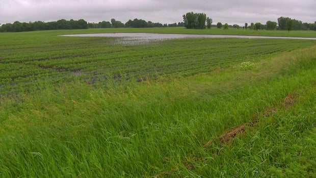 5p-pkg-flooded-farm-fields-wcco84gv-00-01-3229.jpg 
