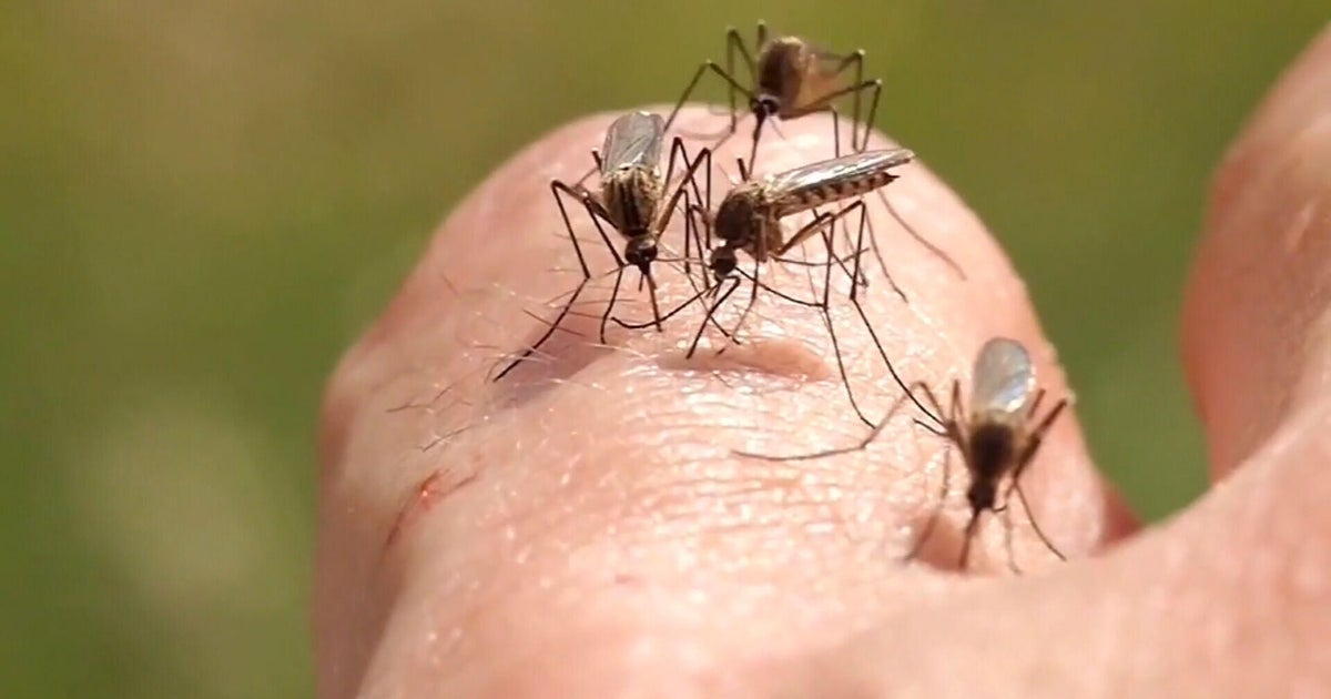 Mosquitos in Northern Colorado test positive for West Nile virus 