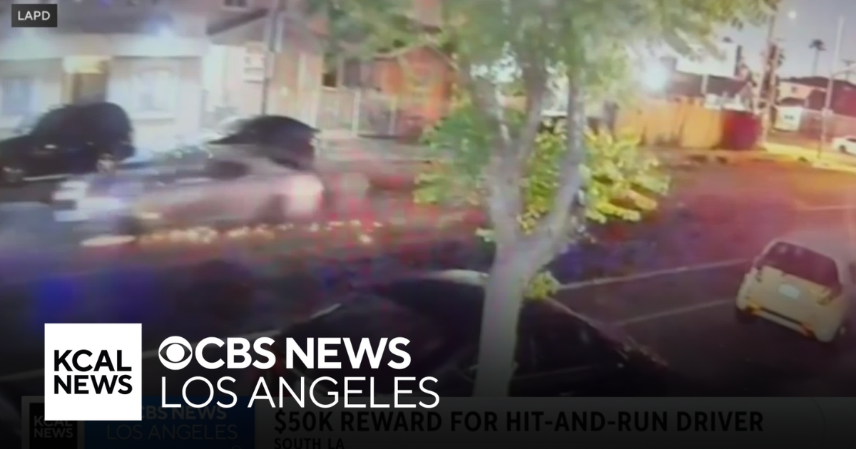 $50k reward offered for information on hit-and-run driver that killed ...