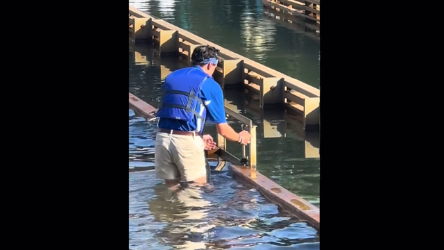 kdka-kennywood-duck-rescue.png 