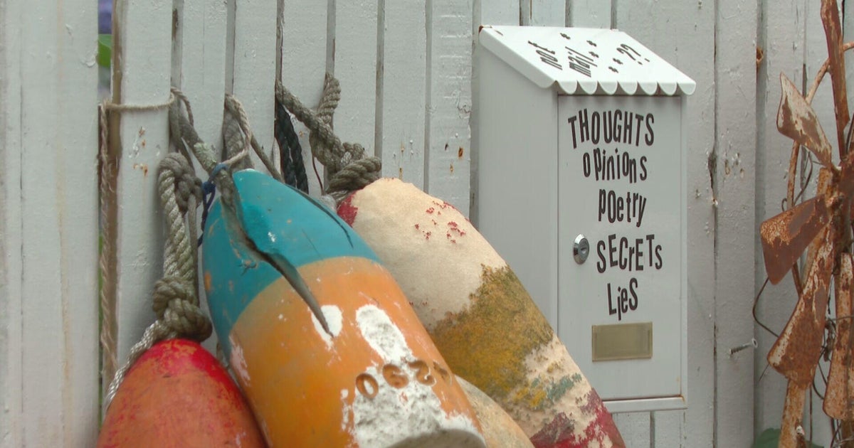 Unique "not mail" box helps Boston woman connects with neighbors 