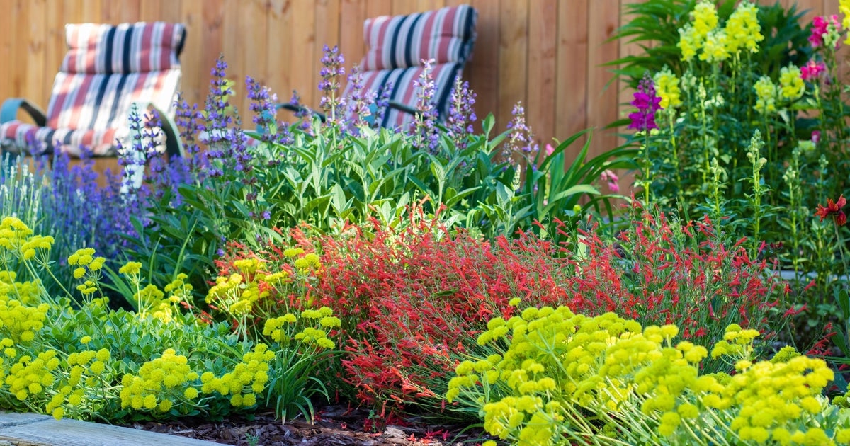 'Garden In A Box' helps Coloradans save water, beautify yards 