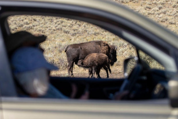 Yellowstone National Park 