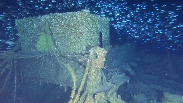 509142310-1128496282644169-2949556533659929290-n.jpg 