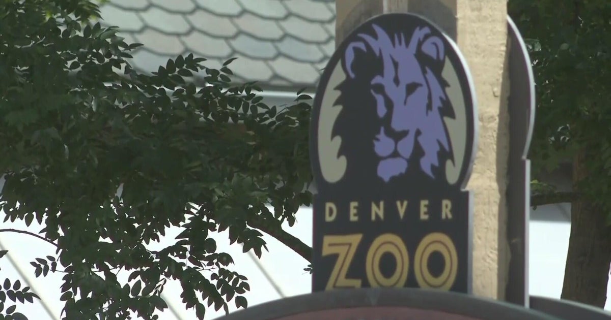 Denver Zoo Closes Early Amid City Park Teen Gatherings, Police Increase Patrols