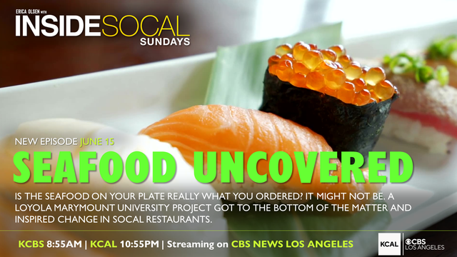 seafood-uncovered-web-gfx.png 