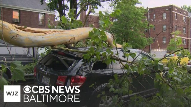 Storm leaves downed trees, power outages in Southeast