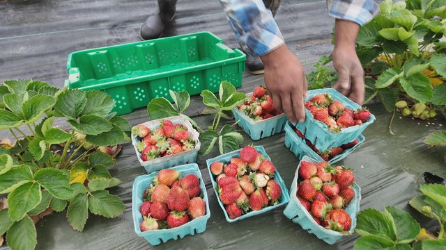 c5-oliver-eoa-usda-grant-cuts-063025-transfer-frame-2548.jpg 