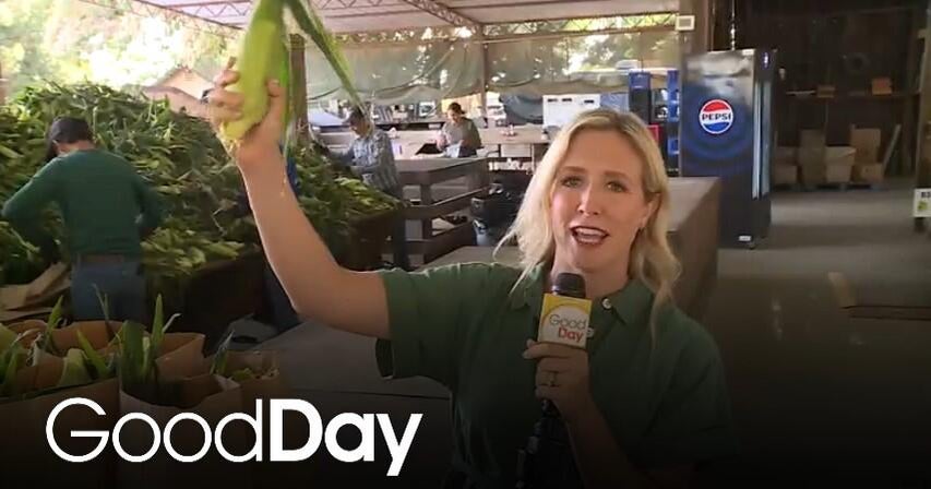 Home of the World’s Best Sweet Corn — and So Much More at Davis Ranch ...