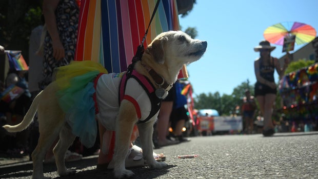 Denver Holds Annual Pride Parade