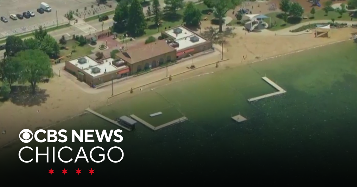 E. coli shuts down Lake Michigan, inland beaches in Chicago area