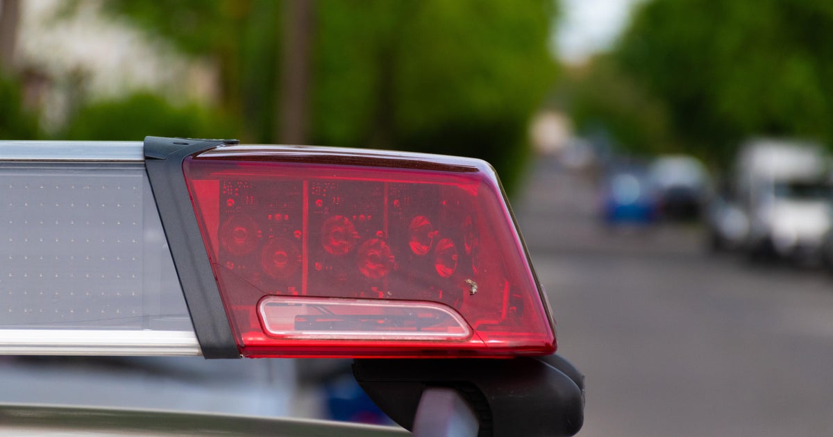 Road worker dies after struck by excavator in Livingston County, Michigan 