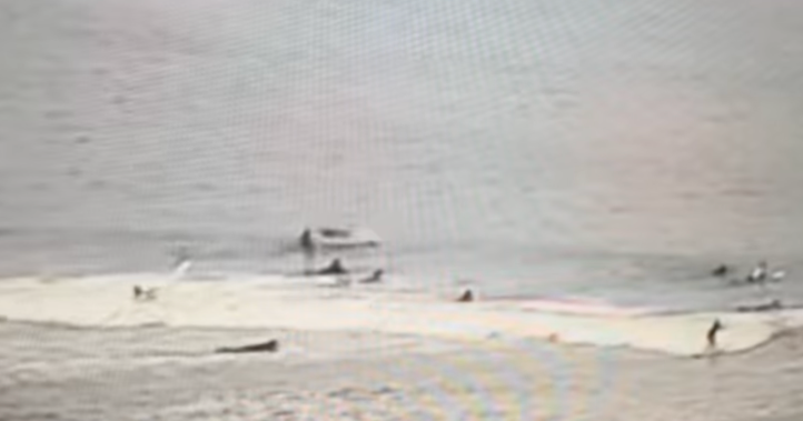 Video shows airborne shark hitting surfer's face in Florida 