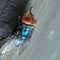 Billions of flies to be dumped from planes to fight flesh-eating screwworms