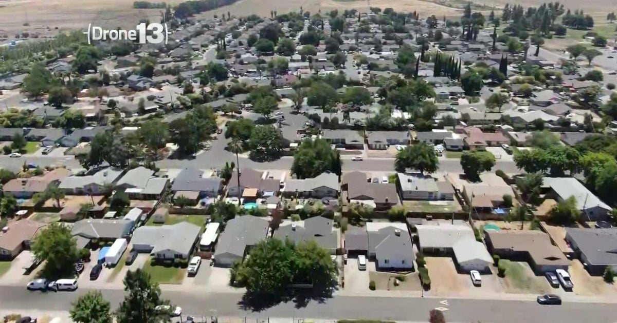 City of Sacramento wants to double its tree canopy by 2045 