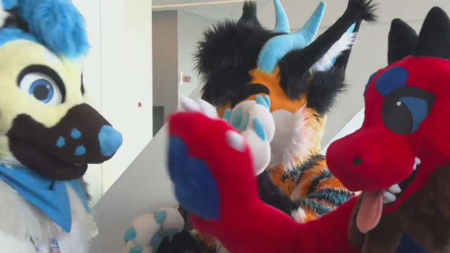 anthrocon.png 
