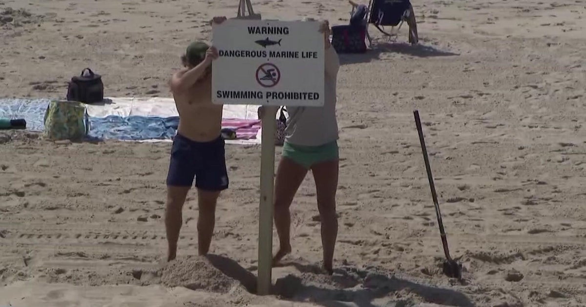 Will beachgoers in the Tri-State Area be safe from sharks this summer? 
