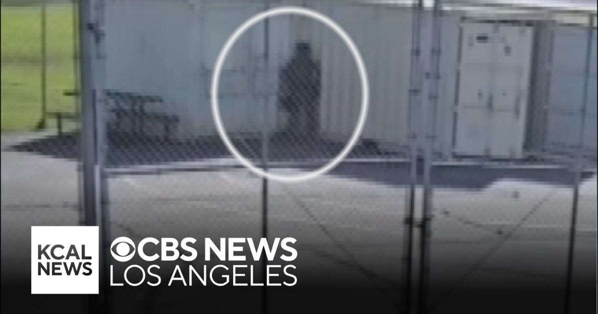 DHS Investigates ICE Agents Urinating on Pico Rivera School Grounds