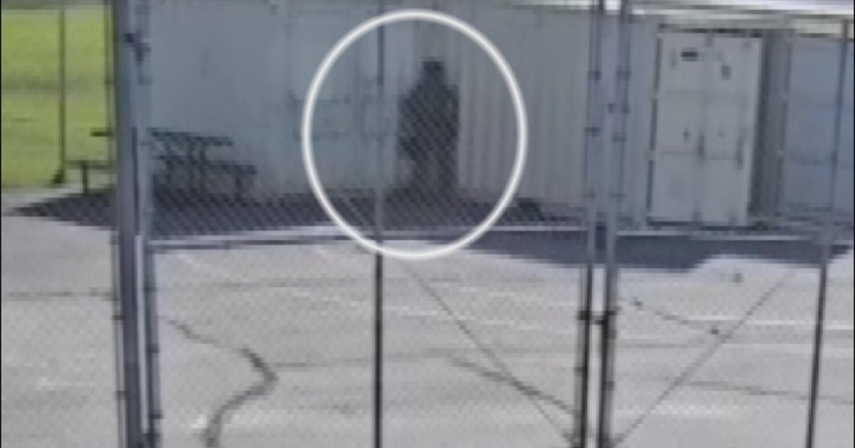 DHS probing video allegedly showing agents urinating in high school parking lot 