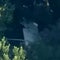 Skydiving plane crashes in New Jersey, several hospitalized