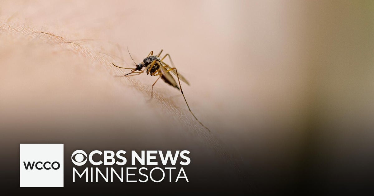 Early West Nile surge in Twin Cities mosquitoes has officials urging caution 