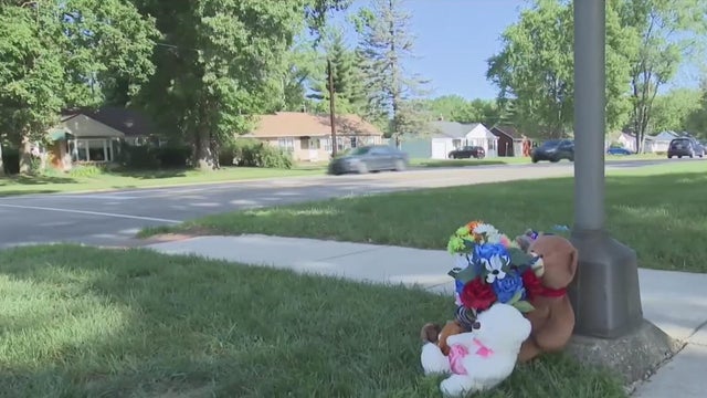 livonia-hit-and-run.jpg 