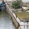 More than four dozen dead in central Texas flash floods, officials say