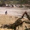 Death toll rises as desperate search for Texas flash flood survivors continues