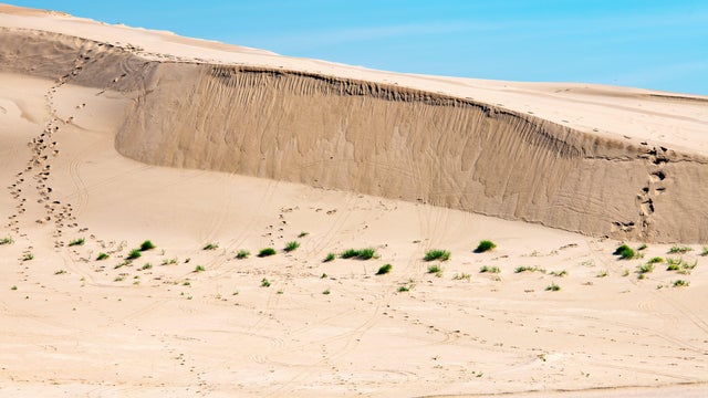 silver-lake-sand-dunes.jpg 