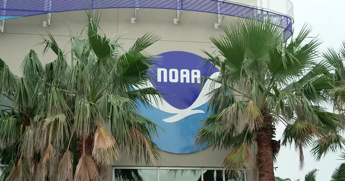 NOAA cuts spark concern ahead of above-normal hurricane season, former official warns 
