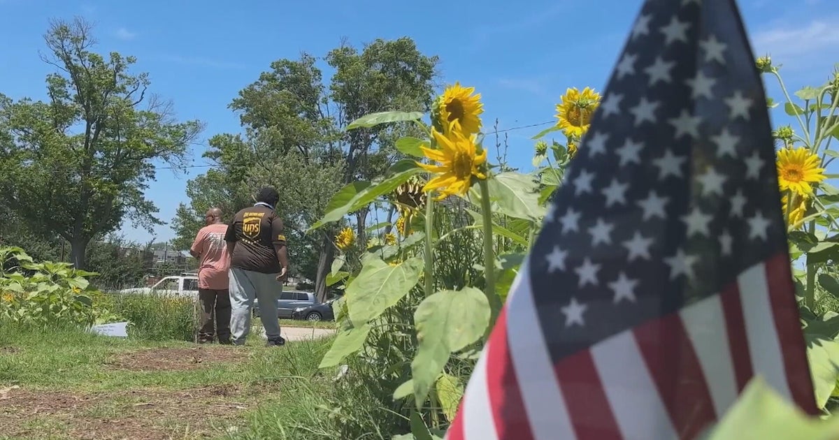 Sunflower garden opens in Northeast Philly as healing space for veterans, greater community 
