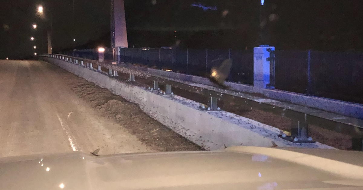 Impending mayfly hatch causes southeastern Minnesota bridge to go dark 