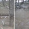 New Mexico flash flooding emergency declared, multiple rescues underway