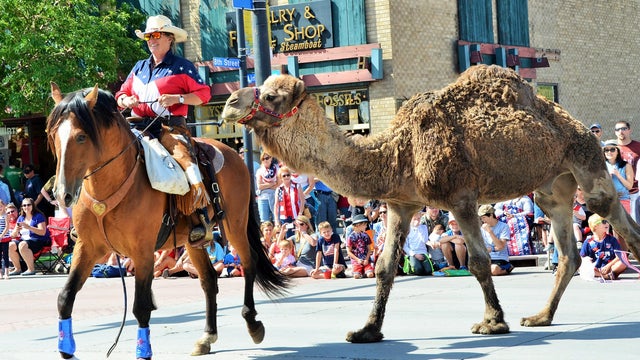 4th-of-july-2014-010.jpg 