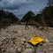 They knew it could happen: History warned of the Central Texas flood