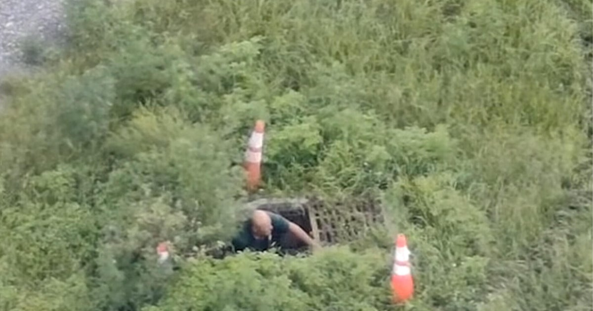 Florida man tries to hide in sewer to avoid arrest as drone catches him peeking out