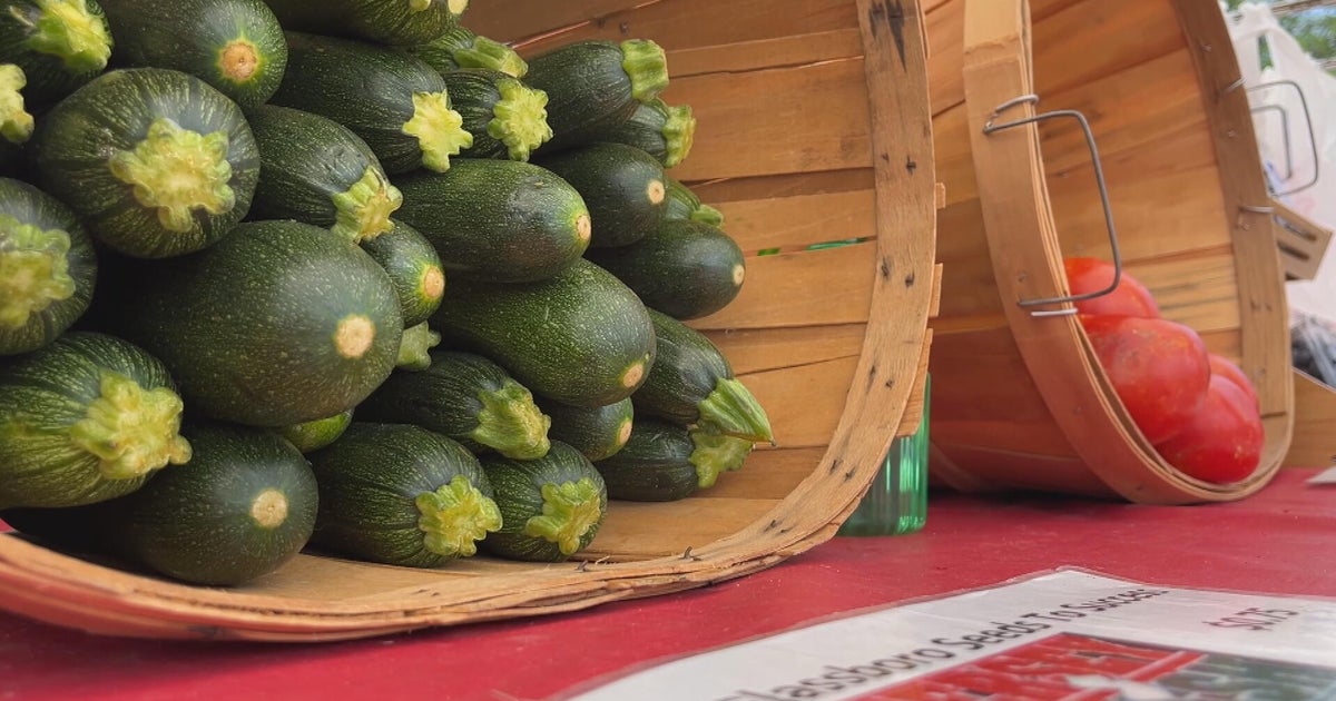 Students learn to make their dreams a reality with Seeds to Success Farm Stand in Glassboro, New Jersey