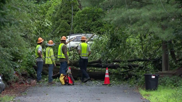 Crews look at a large tree blocking a road. 