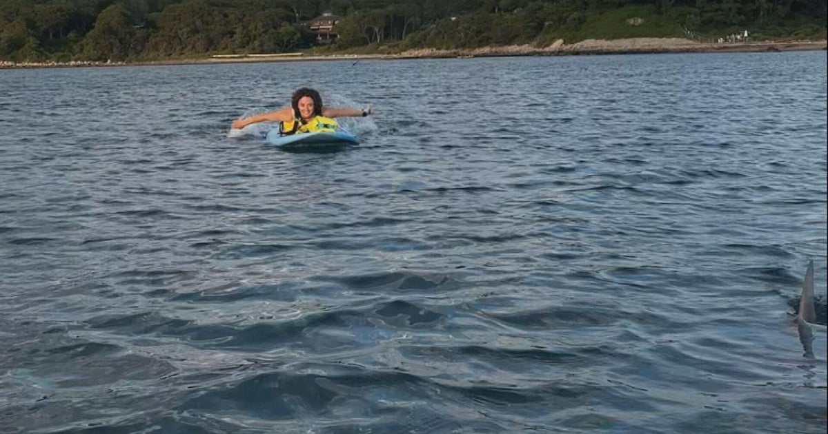 Cape Cod paddleboarders have close encounter with great white shark 