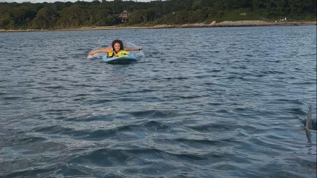 Woods Hole shark 