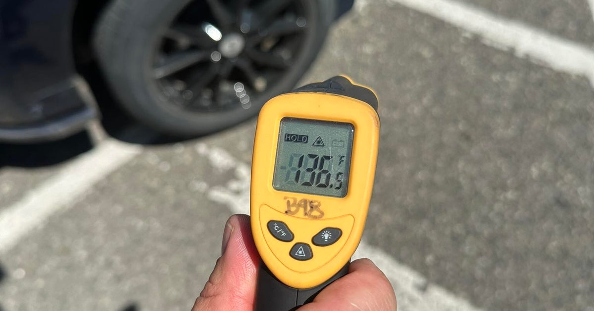 1 dog died, another treated after found inside hot car in Brighton 