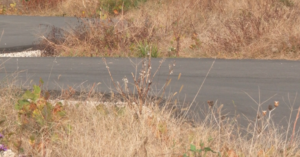 Decision on controversial Howard County go-kart track moves closer after testimony ends 
