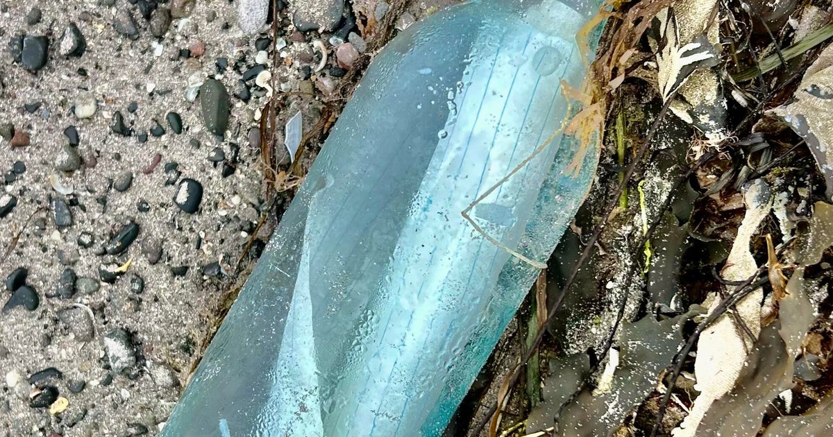 Couple's message in a bottle found 13 years later 2,000 miles away