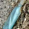Couple's message in a bottle found 13 years later 2,000 miles away