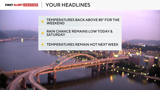 temp3.png 