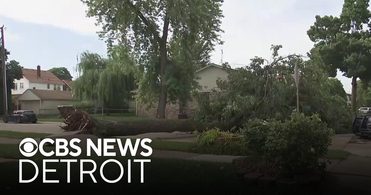 Trees down across Dearborn as storms move across Southeast Michigan