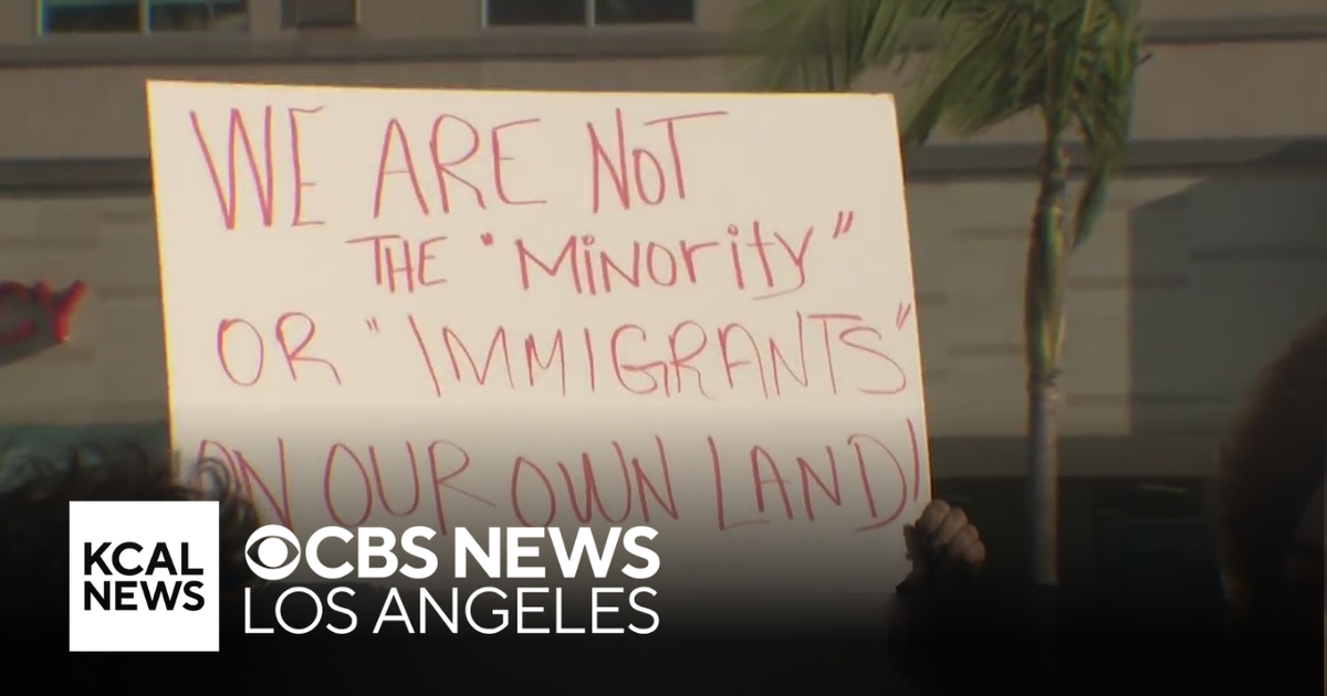 Protesters rally outside Disneyland during Vice President JD Vance's rumored family trip - CBS Los Angeles